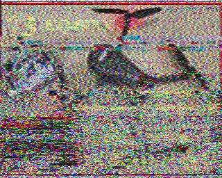 SSTV image from WF3F_20M