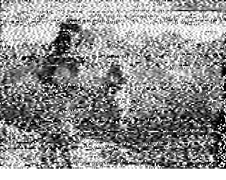 SSTV image from WF3F_20M