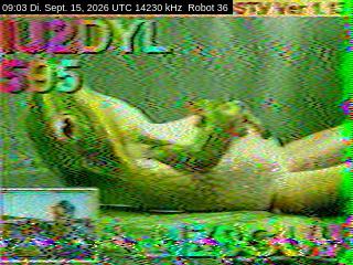 SSTV image from DC4ML_20M