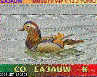 SSTV image from KP4TR_20M