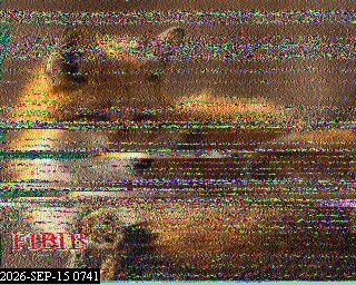 SSTV image from PA0041SWL_80M
