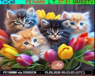 SSTV image from PC1K_2M