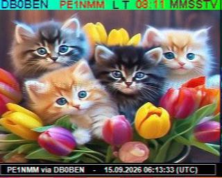 SSTV image from PC1K_2M