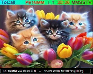 SSTV image from PC1K_2M
