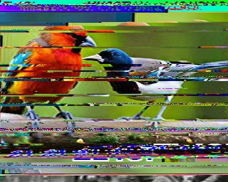 SSTV image from VK3DNH_2M