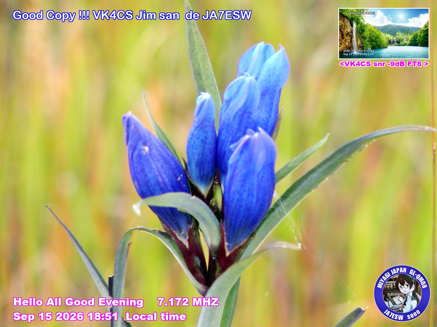 SSTV image from VK4CS_2M