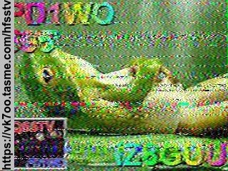 SSTV image from VK7OO_20M