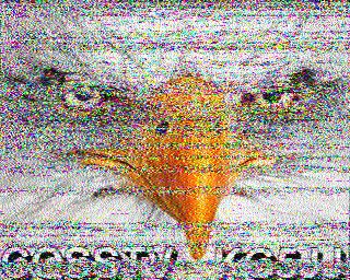 SSTV image from WF3F_20M