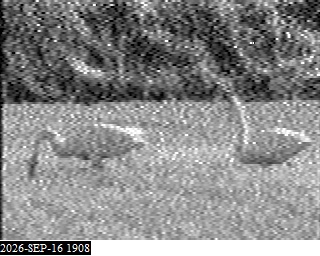 SSTV image from 2E0FWE_20M