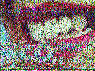 SSTV image from IU0FBK_20M