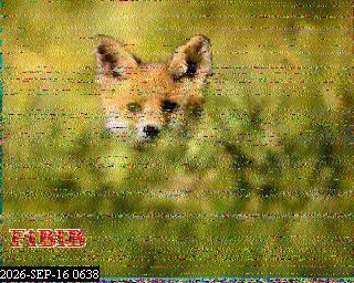 SSTV image from PA0041SWL_80M