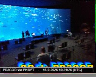 SSTV image from PC1K_2M