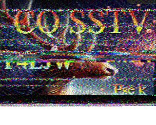 SSTV image from WF3F_20M