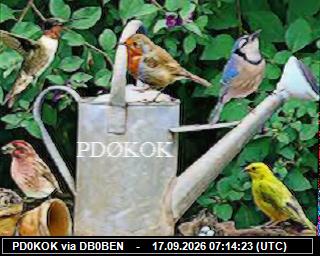 SSTV image from DB0PTB_2M