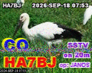 SSTV image from 2E0FWE_20M