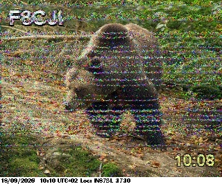 SSTV image from F4HKJ_20M