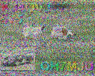 SSTV image from IU0FBK_20M