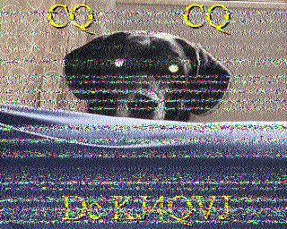 SSTV image from IU0FBK_20M