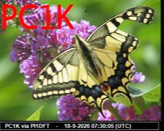SSTV image from PC1K_2M