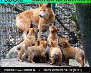 SSTV image from PC1K_2M