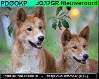 SSTV image from PC1K_2M
