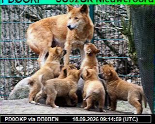 SSTV image from PD5JTB_2M