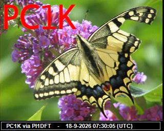 SSTV image from PI1DFT_2M