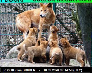SSTV image from PI1DFT_2M