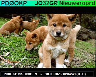 SSTV image from PI1DFT_2M