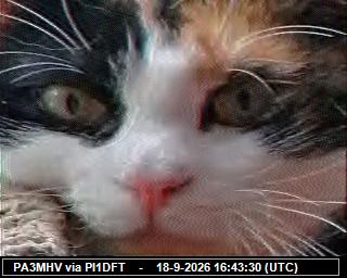 SSTV image from PI1DFT_2M