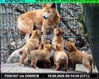 SSTV image from VK7DIK_2M