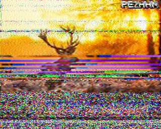 SSTV image from WF3F_20M