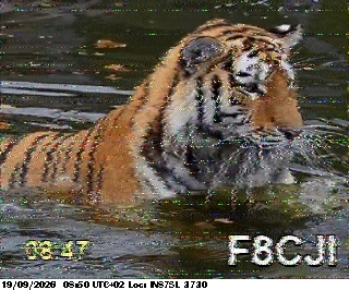SSTV image from F4HKJ_20M