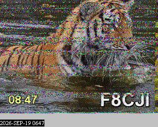 SSTV image from PA0041SWL_80M
