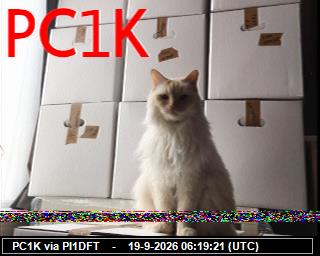 SSTV image from PI1DFT_2M